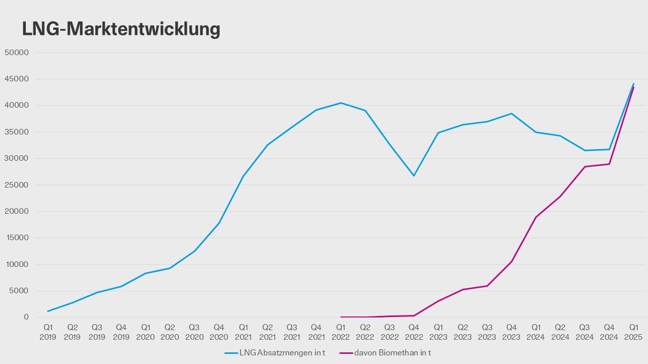 Bild: DIE GAS- UND WASSERSTOFFWIRTSCHAFT