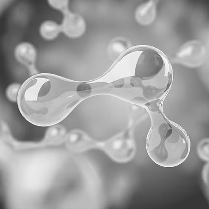 Bild: DIE GAS- UND WASSERSTOFFWIRTSCHAFT