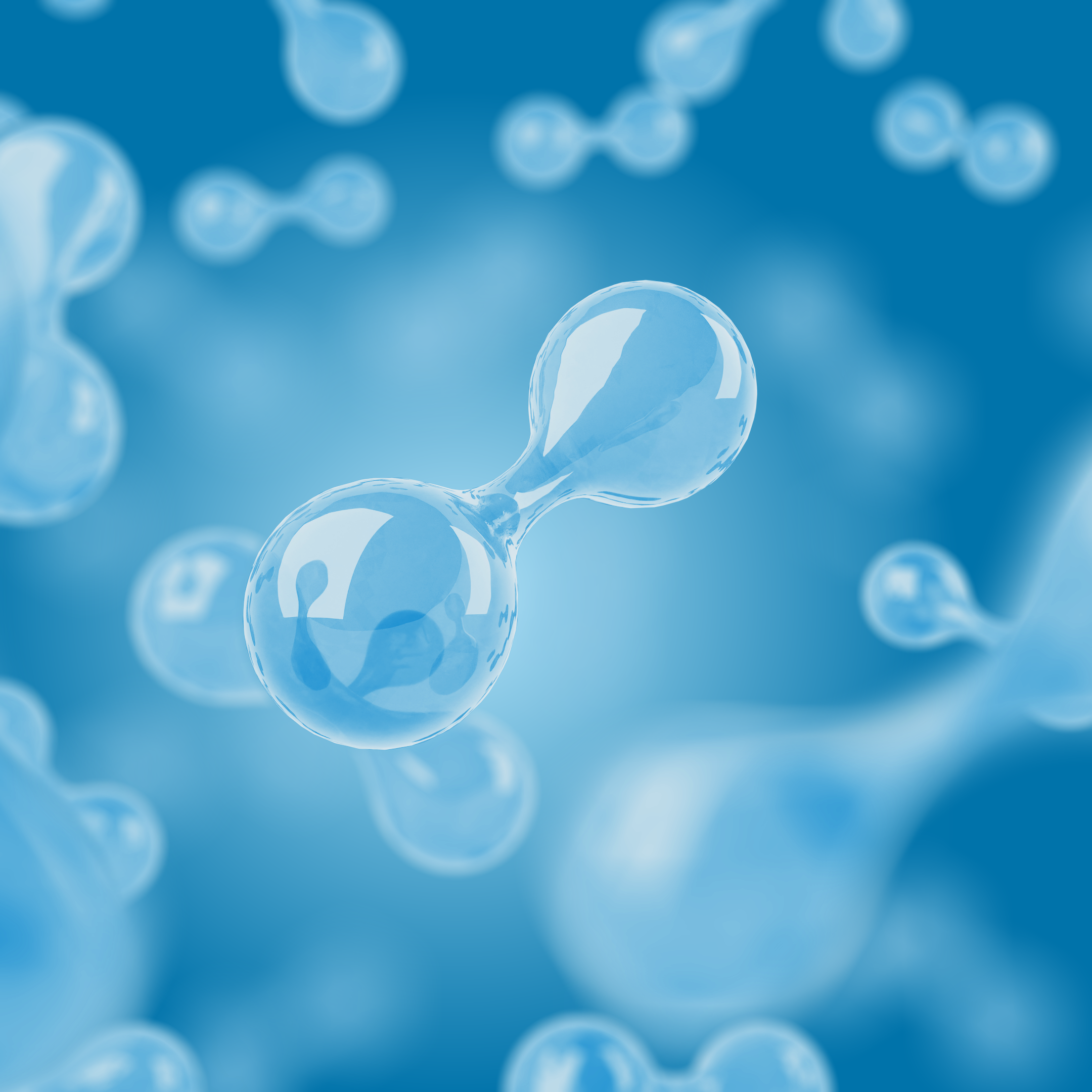 Bild: DIE GAS- UND WASSERSTOFFWIRTSCHAFT