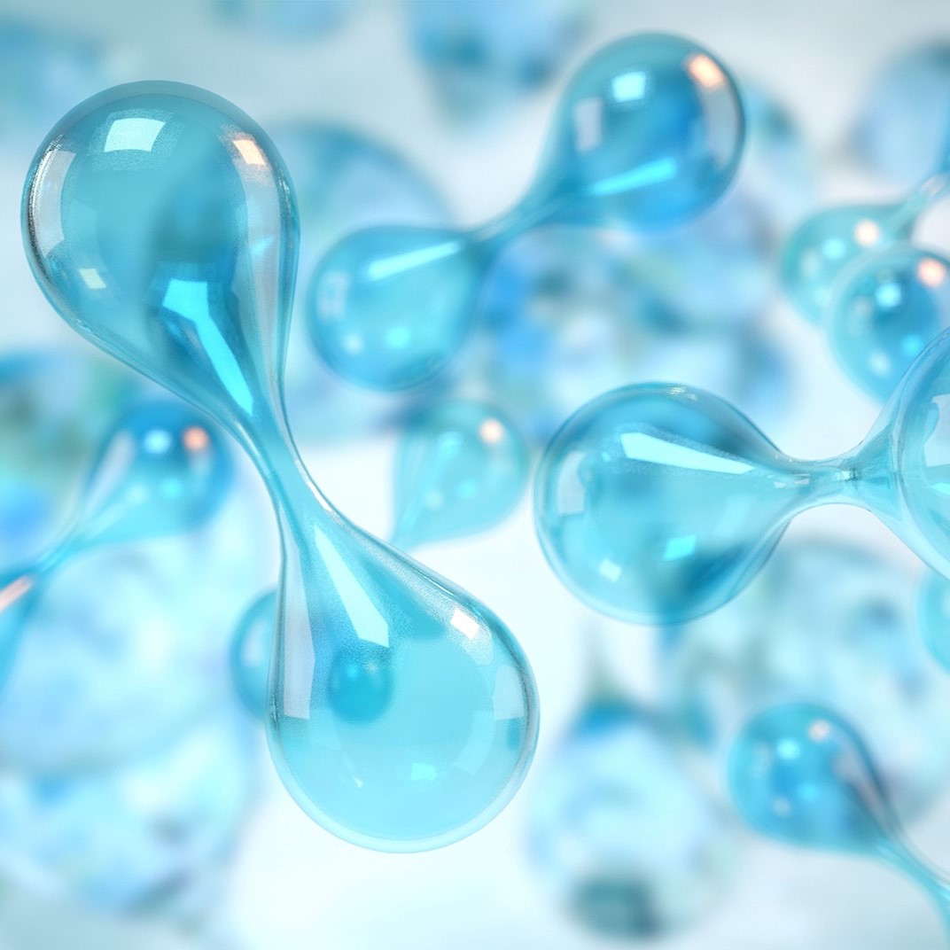 Bild: DIE GAS- UND WASSERSTOFFWIRTSCHAFT