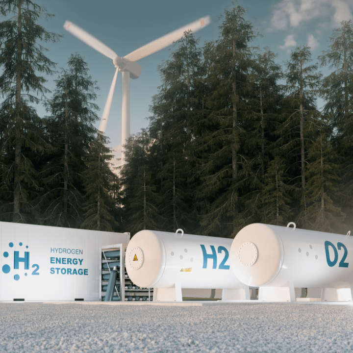 Bild: malp - stock adobe.com