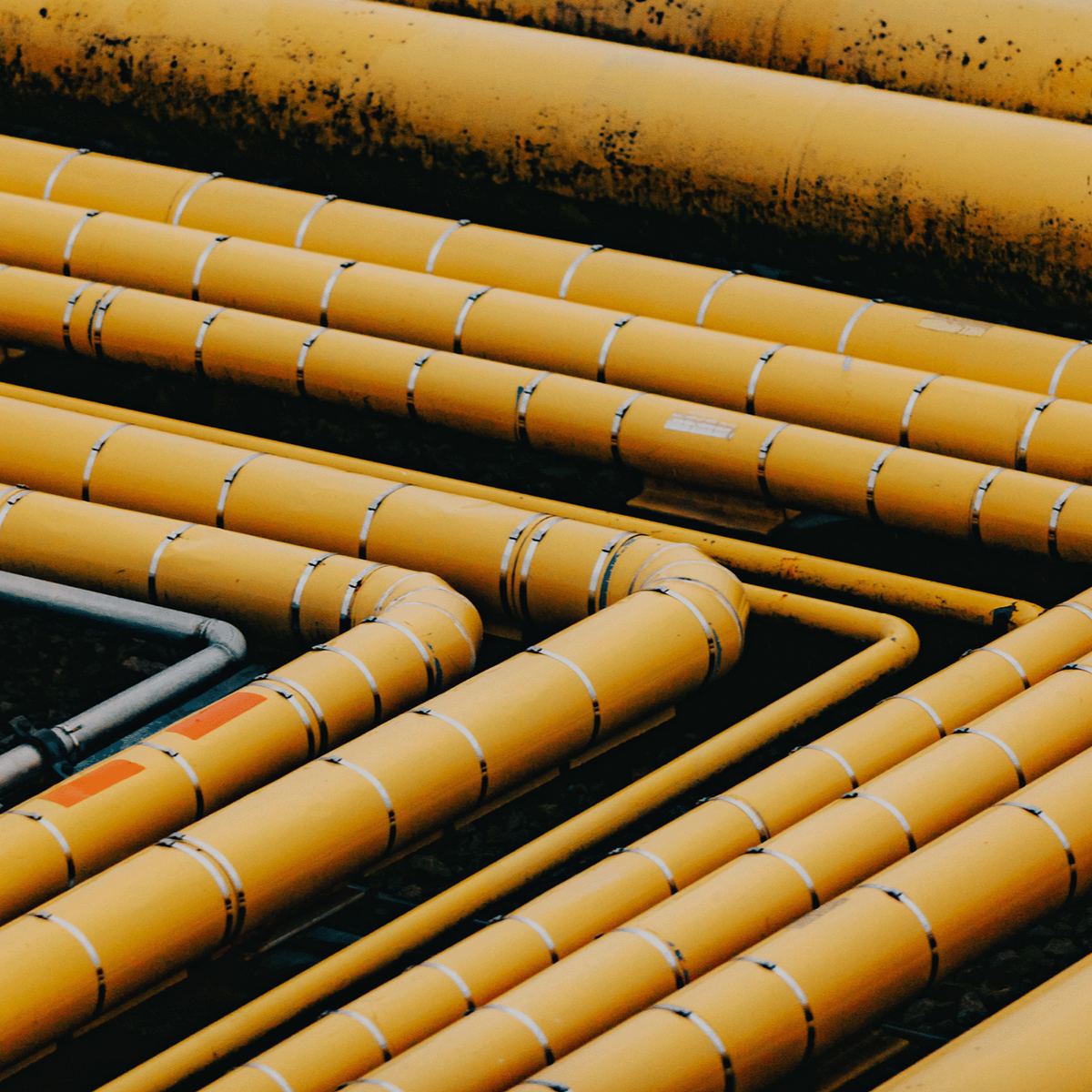 Bild: Ilja C. Hendel/DIE GAS- UND WASSERSTOFFWIRTSCHAFT