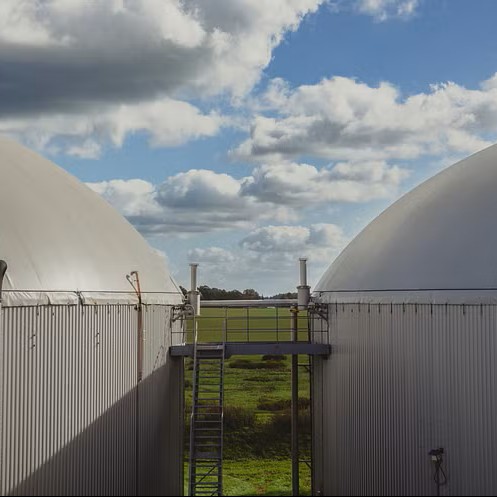 Bild: Lotte Ostermann/DIE GAS- UND WASSERSTOFFWIRTSCHAFT