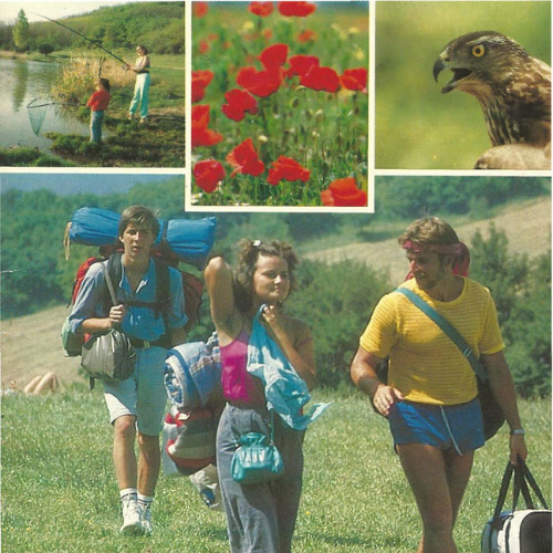 Photo: Three people hiking with backpacks across a grassy field, framed by images of fishing, red poppies, and a close-up of a hawk. Mood is adventurous.