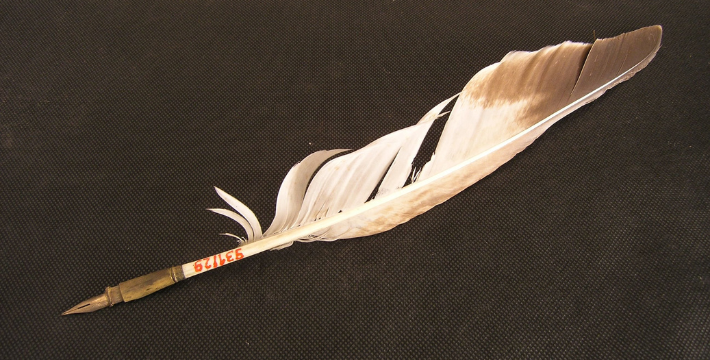 A photo of a feather quill against a dark background