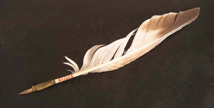 Photo of a quill with a white feather against a black background