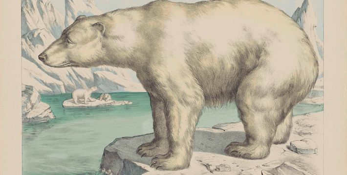 A painting of a polar bear