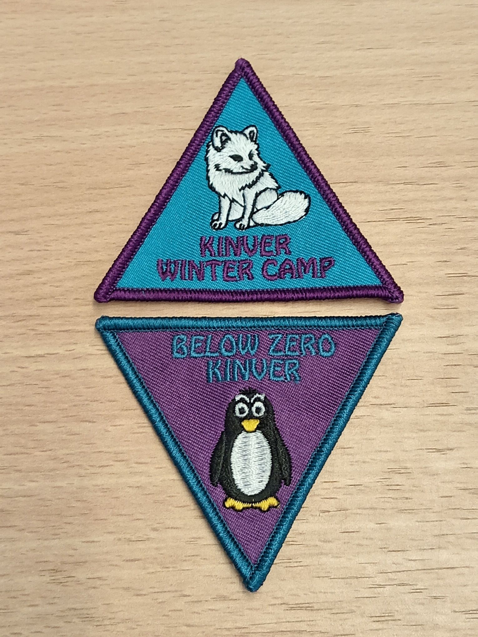 https://stratus.campaign-image.eu/images/121347000003377004_zc_v1_1731167106611_kinver_winter_badges.jpg