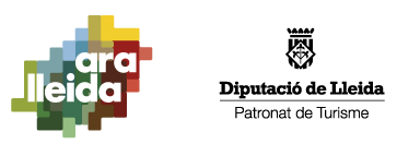 Logo AraLleida