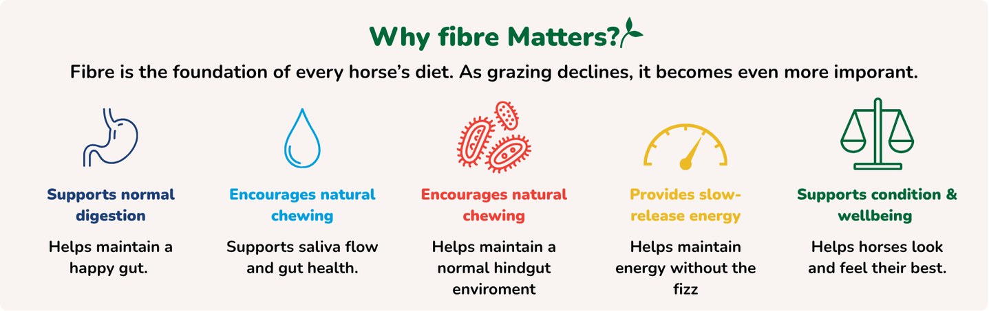 Pure Feed guide explaining why fibre matters when summer grass is scarce