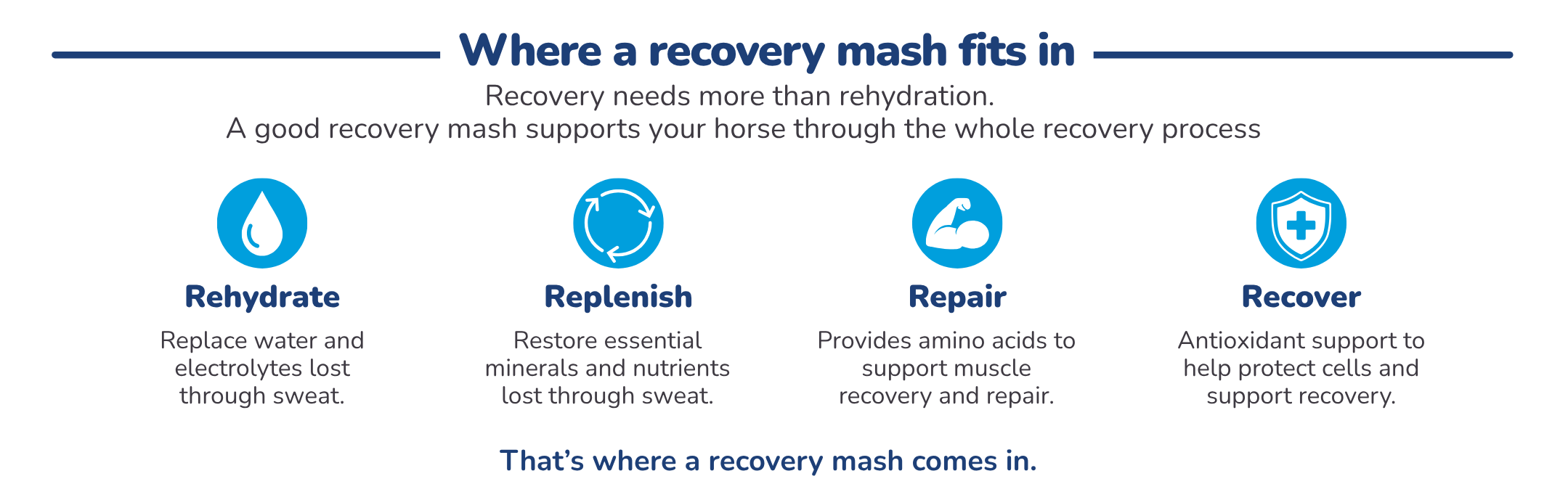 Pure Feed diagram showing how a recovery mash can support rehydration, replenishment, muscle repair and recovery
