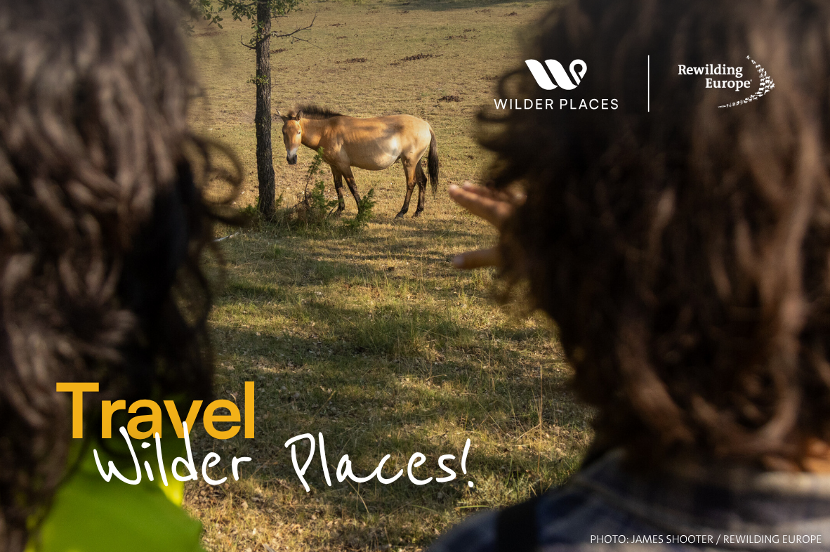 Support a wilder Europe - Laurie Campbell / Wild Wonders of Europe
