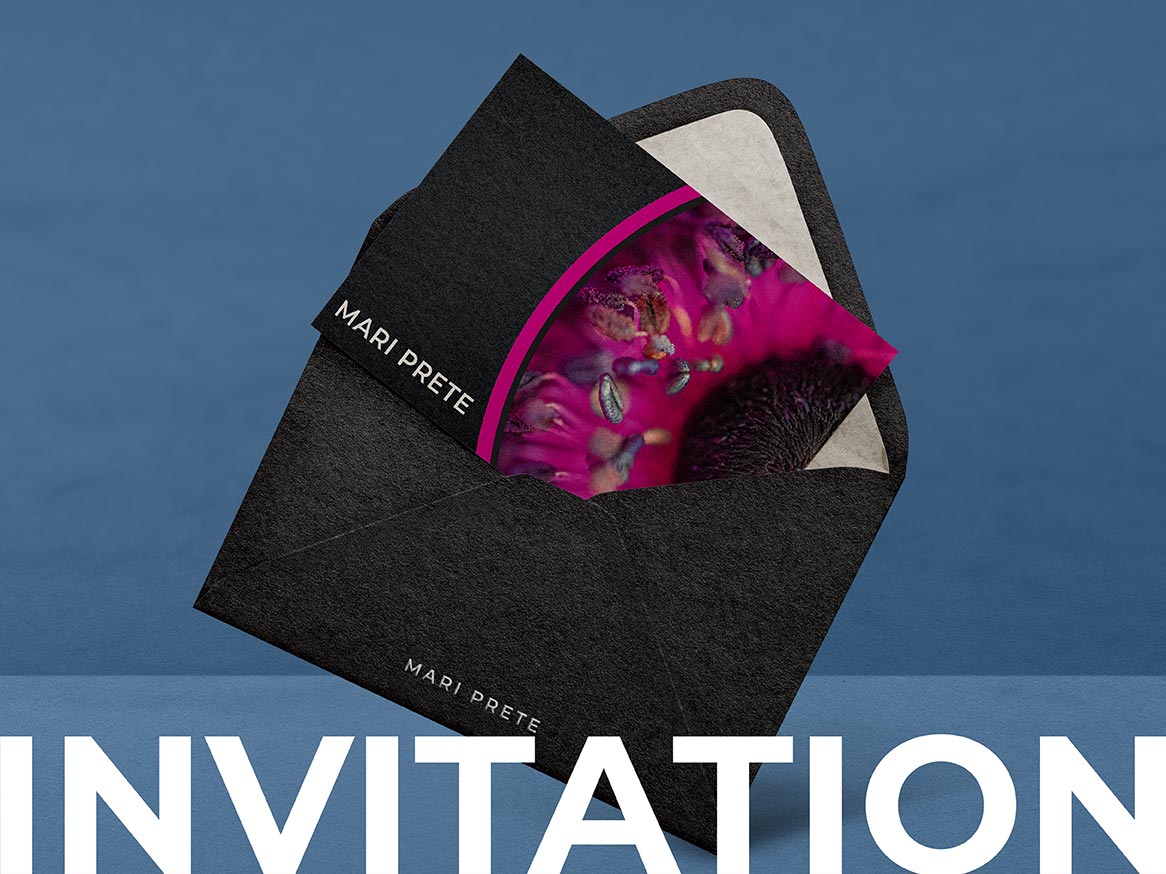 Mari Prete FineArt Newsletter Cover - December 2023