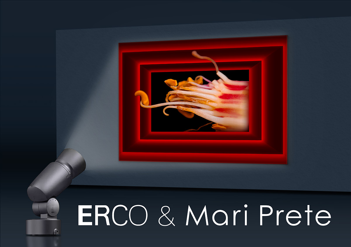 Mari Prete FineArt Newsletter Cover - December 2023