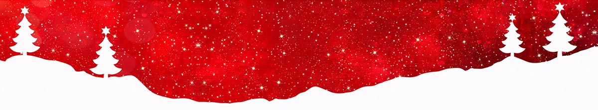Mari Prete FineArt Newsletter Footer - December 2024