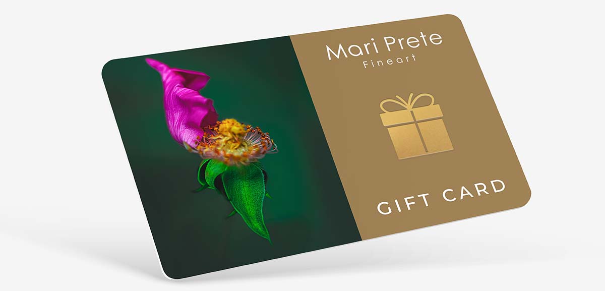 Mari Prete Fineart - Digital Gift Cards
