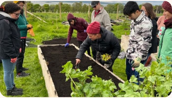 Introduction to Growing Your Own Food