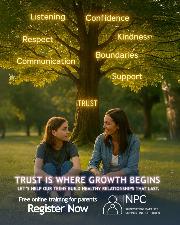 https://stratus.campaign-image.eu/images/139715000027028887_1_1739436841538_zc-noimage.png