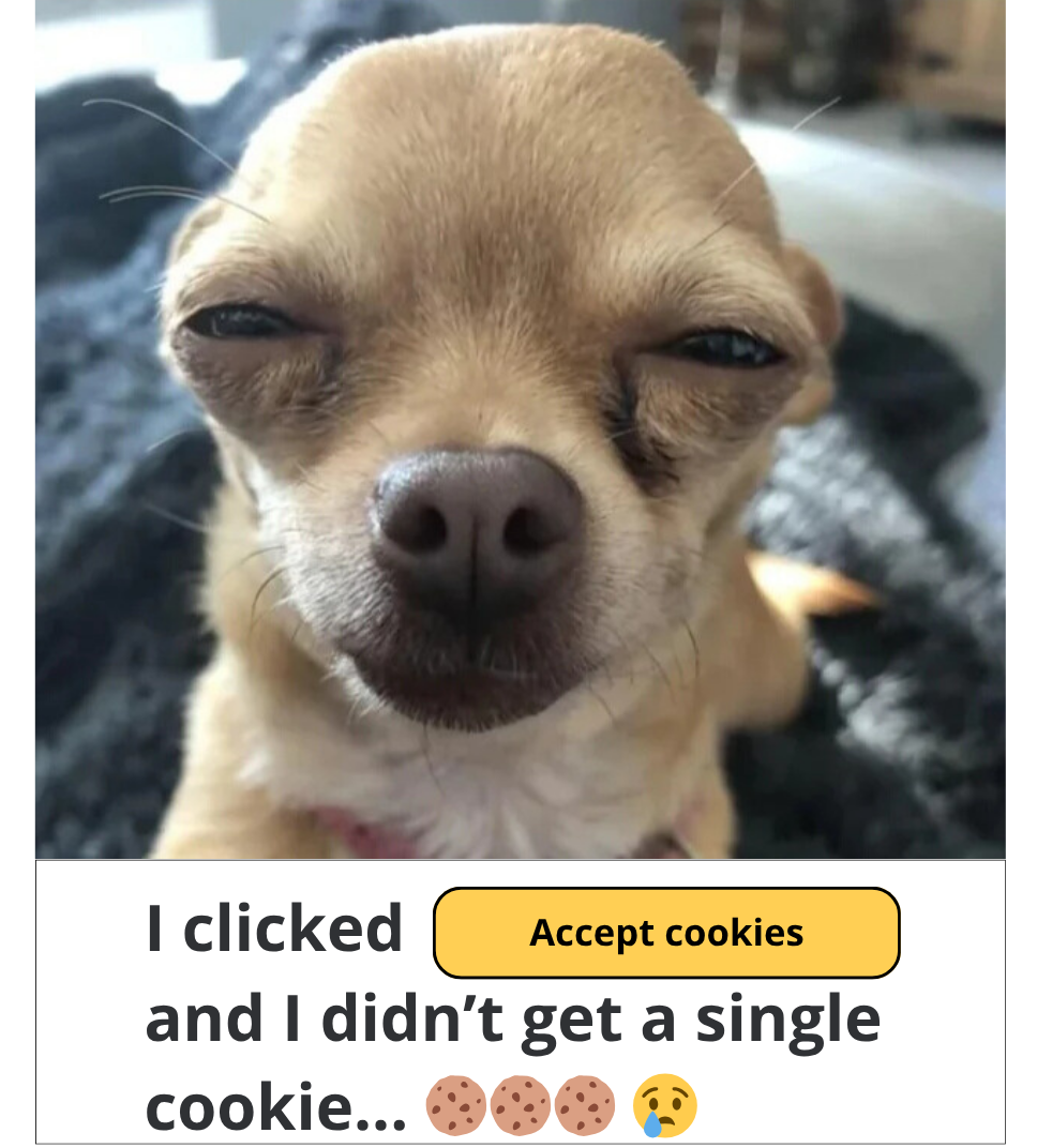 Meme sull'accettazione dei cookies online