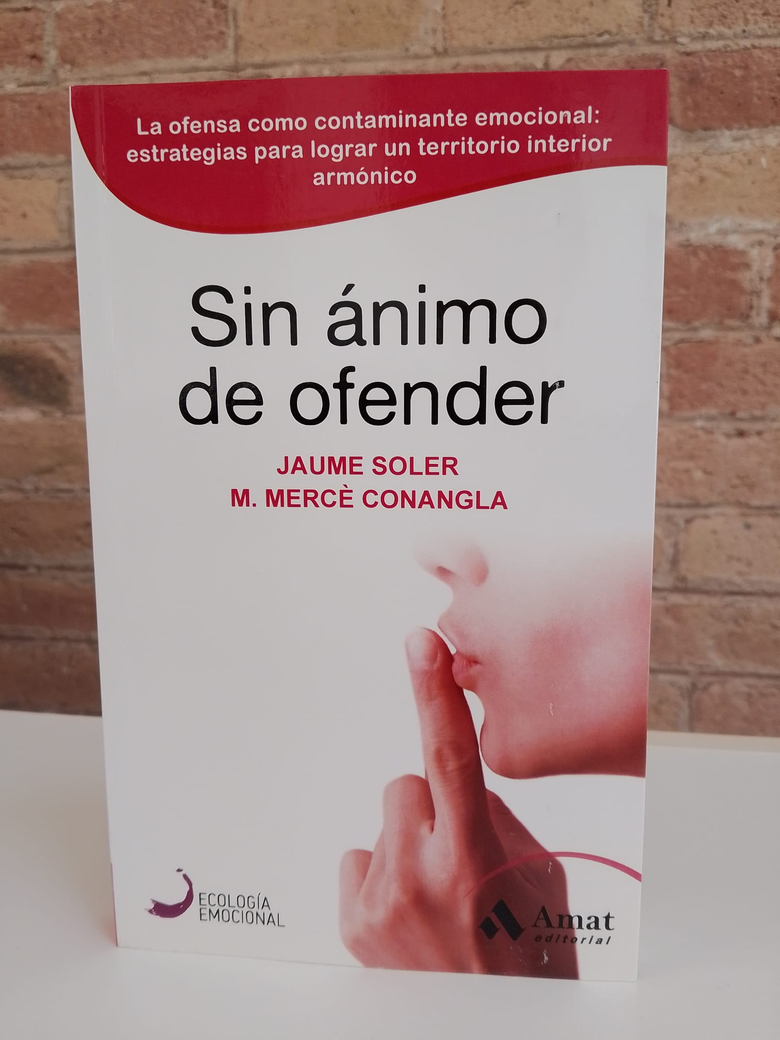 https://stratus.campaign-image.eu/images/14489000019067003_zc_v1_1779796265993_foto_llibre_sin_ánimo_de_ofender.jpeg