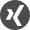 Xing Icon - ICS Group