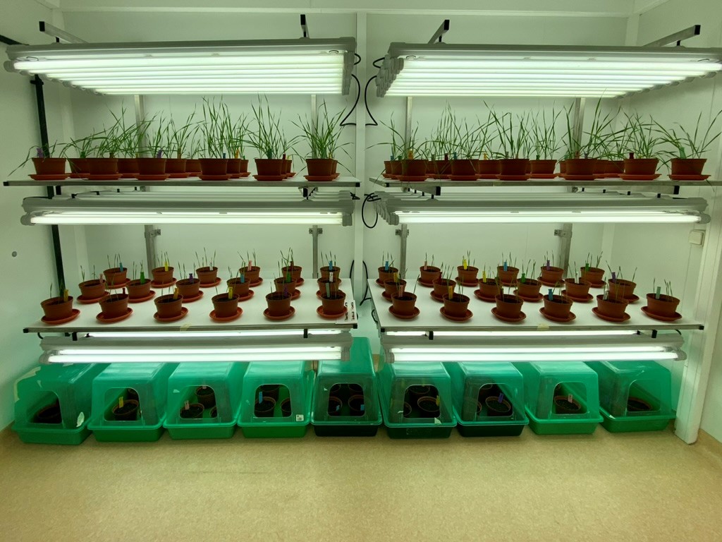 https://stratus.campaign-image.eu/images/161359000001316908_zc_v1_1729072087409_seedbioprotect.jpg