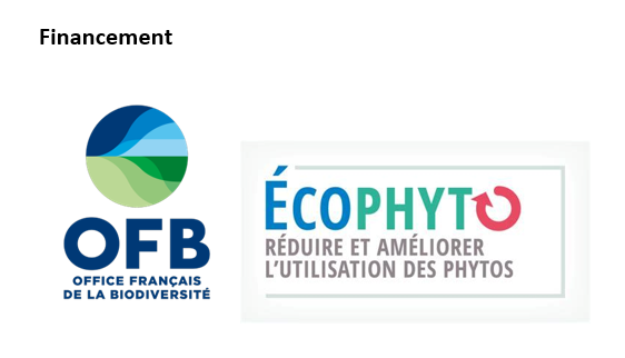 https://stratus.campaign-image.eu/images/161359000002113004_zc_v1_1729072087409_seedbioprotect.jpg