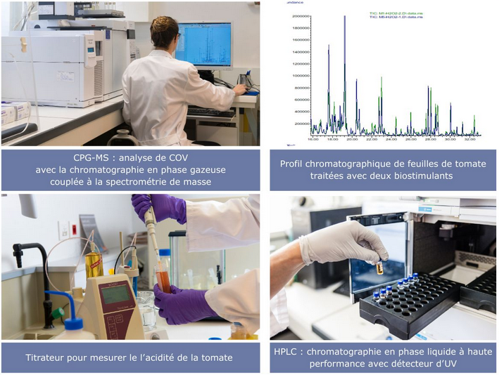 https://stratus.campaign-image.eu/images/161359000002821004_zc_v1_1744023194943_outils_bioch_vegenov_25.png