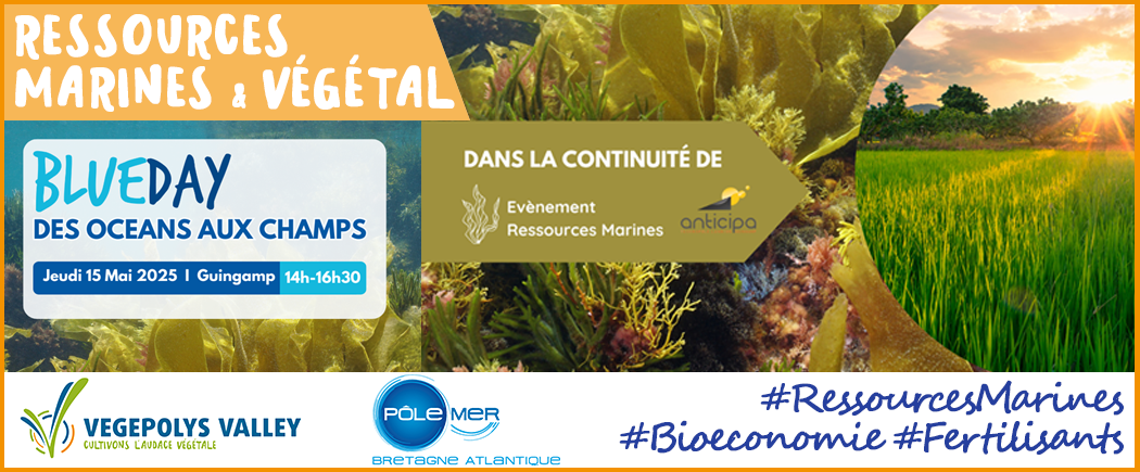 https://stratus.campaign-image.eu/images/161359000002821004_zc_v1_1744366911201_journ_e_nationale_artichaut___19_20_mai___twitter.jpg