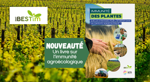 https://stratus.campaign-image.eu/images/161359000003868113_zc_v1_1761563152291_bestim_ouvrage_(1).png