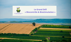 https://stratus.campaign-image.eu/images/161359000004526004_zc_v1_1761563152291_bestim_ouvrage_(1).png