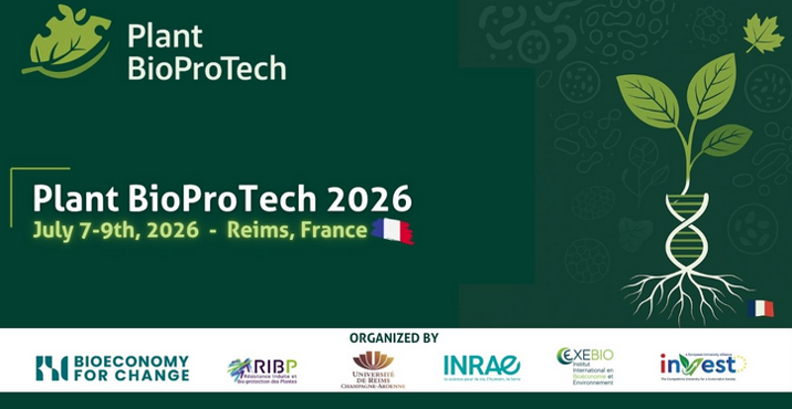 https://stratus.campaign-image.eu/images/161359000004982006_7_1720450402982_zc-noimage.png