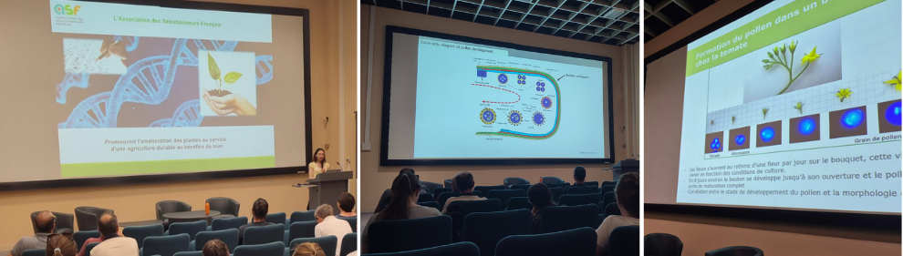 https://stratus.campaign-image.eu/images/161359000005855003_zc_v1_1783001777471_asf_conferences_pollen_26.png