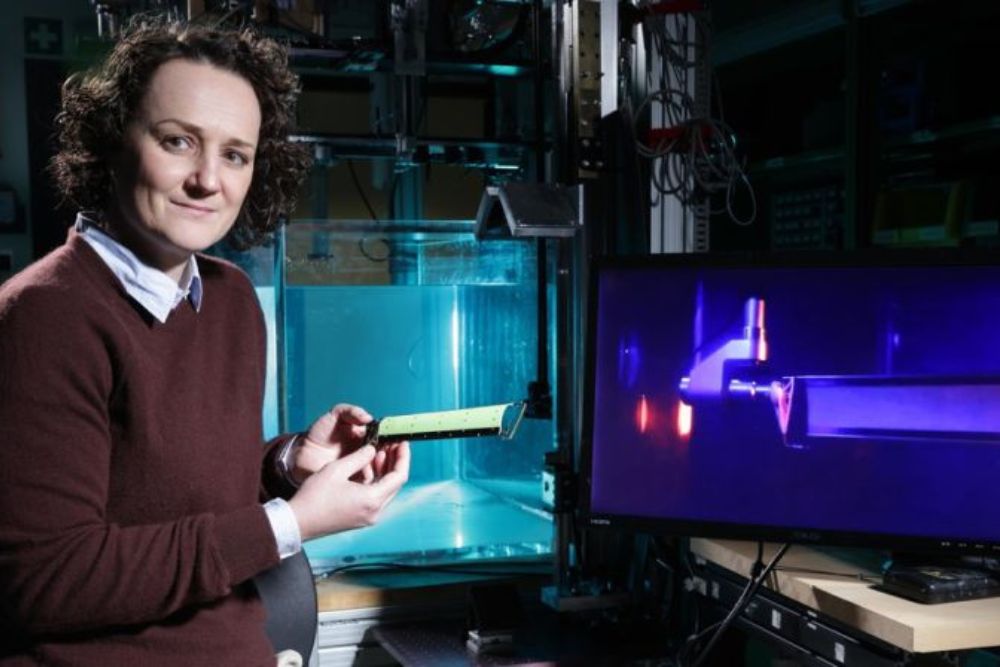 Bat Wings Boost Flight Efficiency