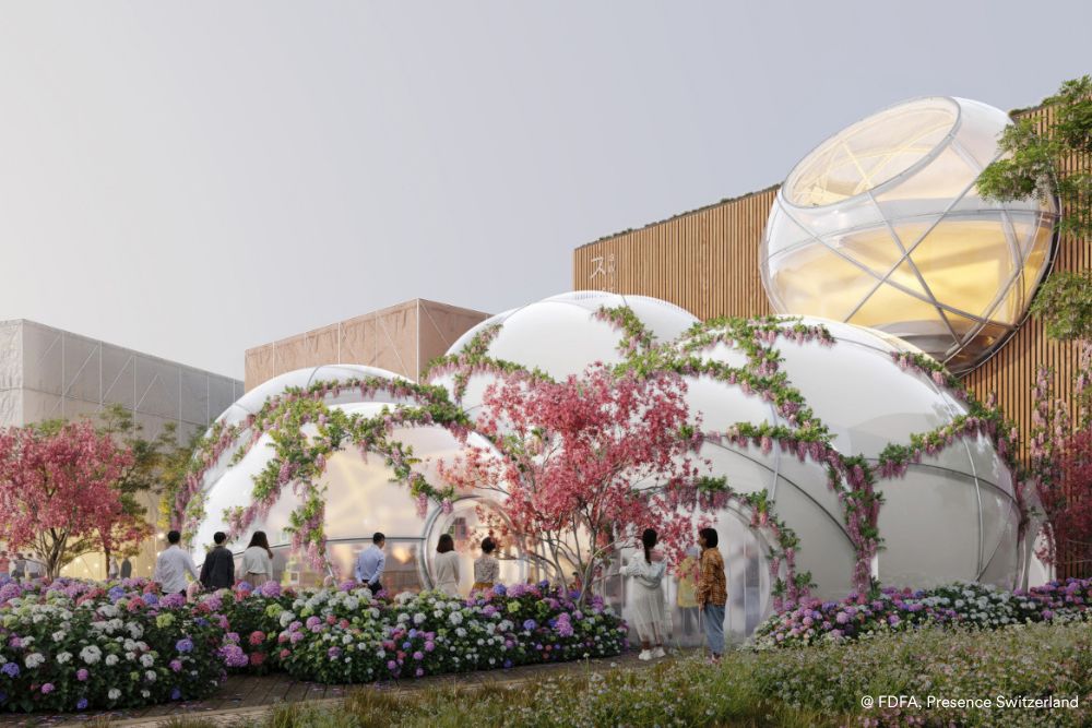 News from Expo 2025