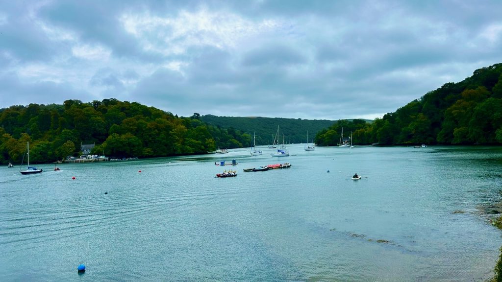 The River Dart at Dittisham