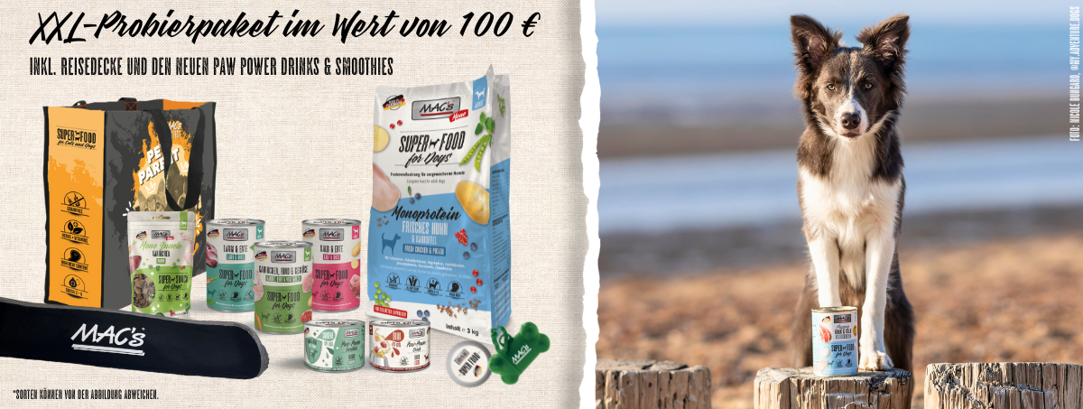 https://stratus.campaign-image.eu/images/181270000000682696_zc_v1_1723462102163_inselabenteuer_2024_the_good_stuff_fb_hund_katze.png