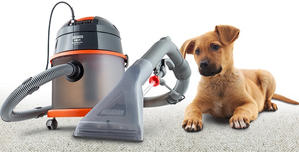 https://stratus.campaign-image.eu/images/181270000000690004_zc_v1_1723462102163_inselabenteuer_2024_the_good_stuff_fb_hund_katze.png