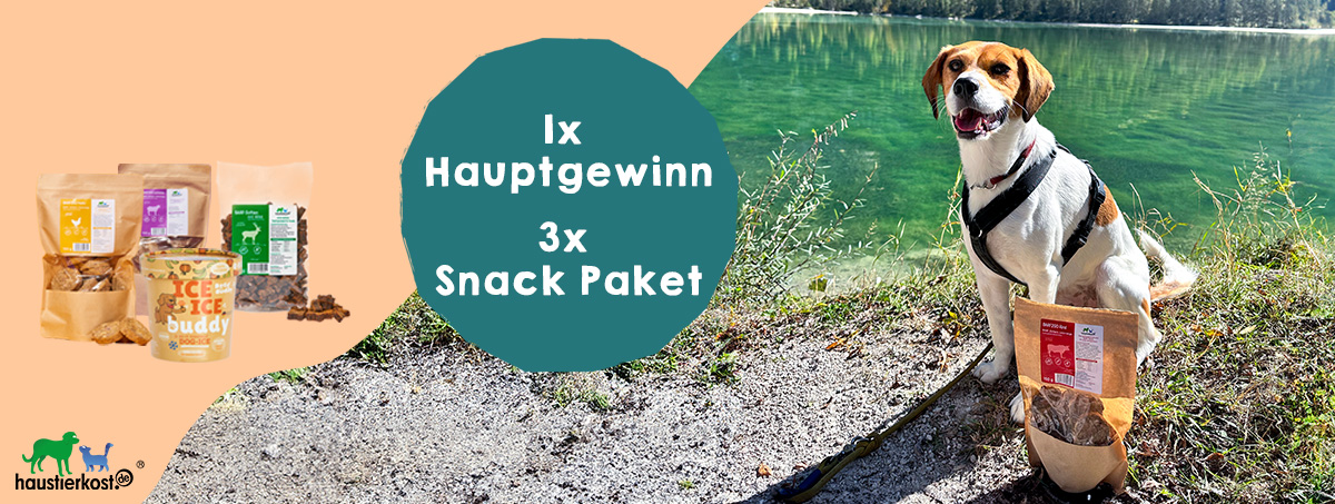 https://stratus.campaign-image.eu/images/181270000000702012_zc_v1_1723462102163_inselabenteuer_2024_the_good_stuff_fb_hund_katze.png