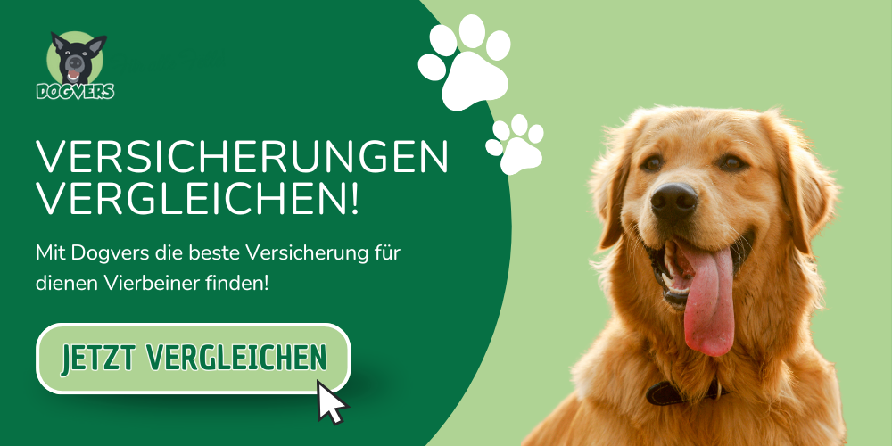 https://campaign-image.com/zohocampaigns/133052000002457092_zc_v53_artboard_1.png