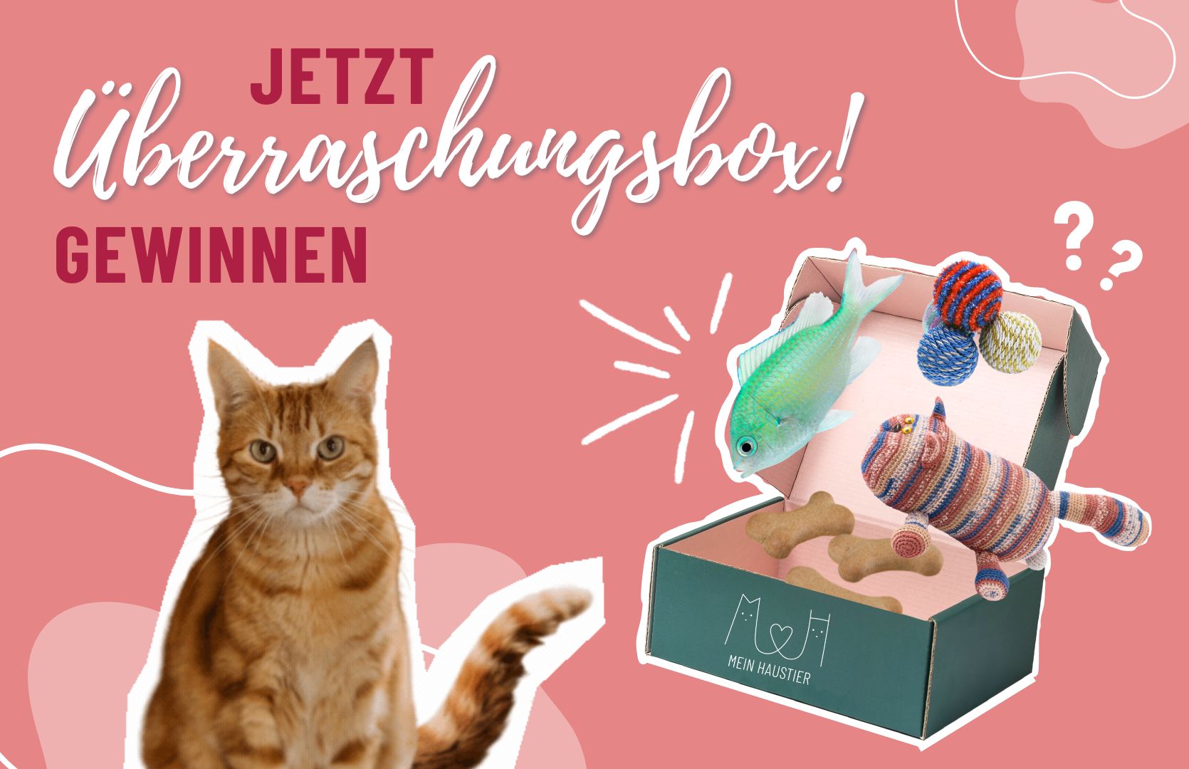 https://stratus.campaign-image.eu/images/181270000002094971_zc_v1_1732804584846_goodie-verlosung-dogs-fun.jpg