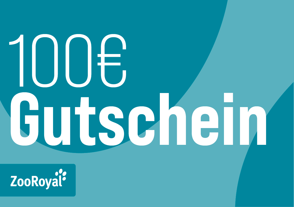 https://stratus.campaign-image.eu/images/181270000002273190_zc_v1_1733305122085_gutschein-100euro.png