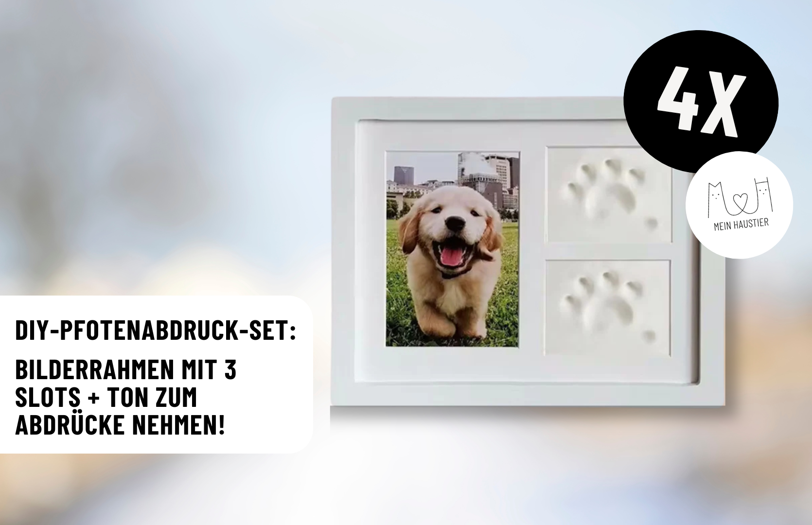 https://stratus.campaign-image.eu/images/181270000003043466_zc_v1_1732804409869_goodie-verlosung-dogs-fun-1.jpg