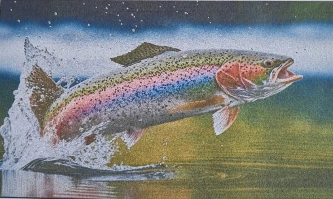 https://stratus.campaign-image.eu/images/187767000001412004_zc_v1_1784128265293_leaping_rainbow.jpg