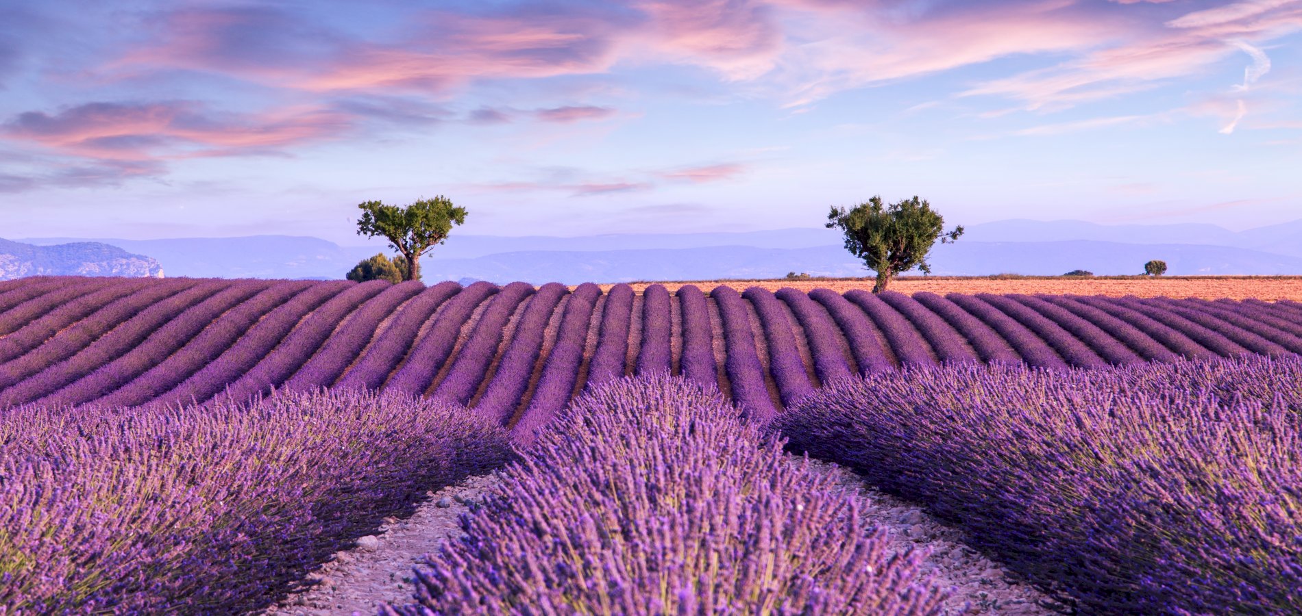 https://stratus.campaign-image.eu/images/188358000034628916_zc_v1_1731681637138_ophorus_843027_provence_large.jpeg