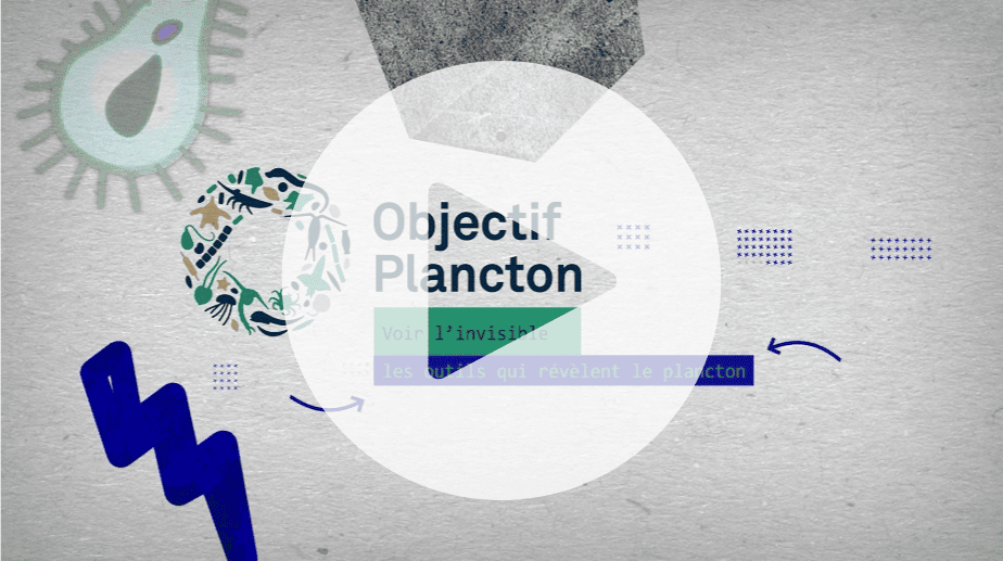 Visuel série vidéos Objectif Plancton