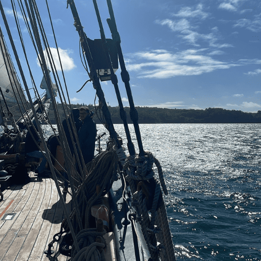 Le plancton s'invite sur la Recouvrance