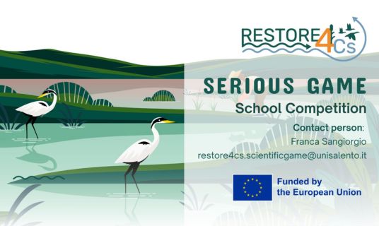 RESTORE4Cs School Competition