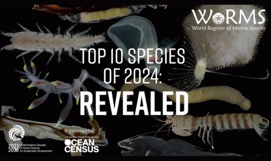 remarkable marine species