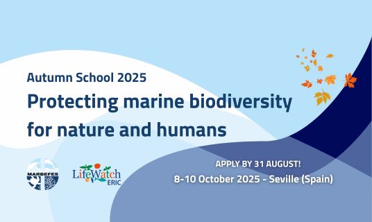 MARBEFES Autumn School 2025